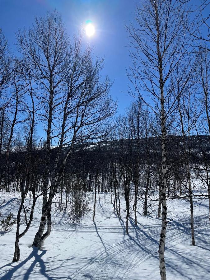 Taenndalens Stugby Tänndalen Exterior foto