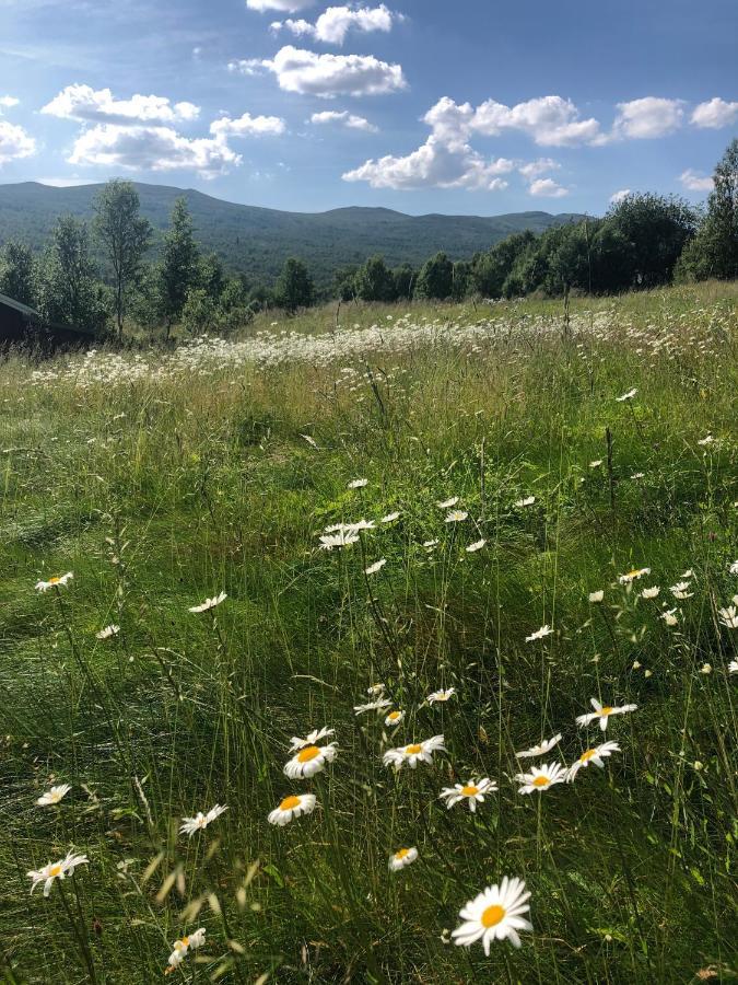 Taenndalens Stugby Tänndalen Exterior foto