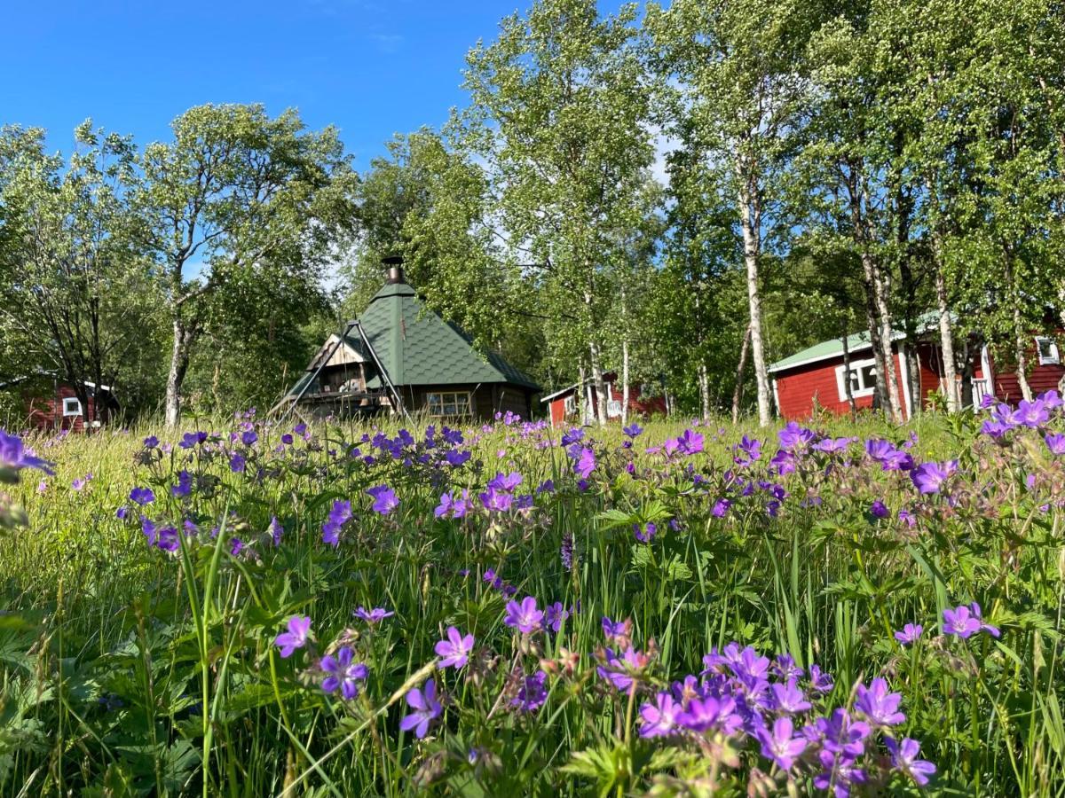 Taenndalens Stugby Tänndalen Exterior foto
