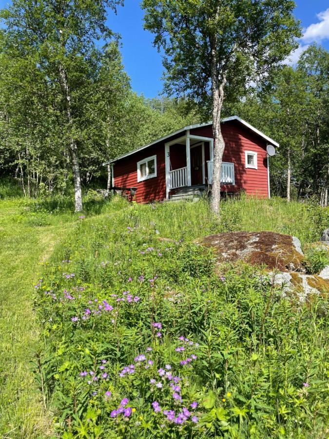 Taenndalens Stugby Tänndalen Exterior foto