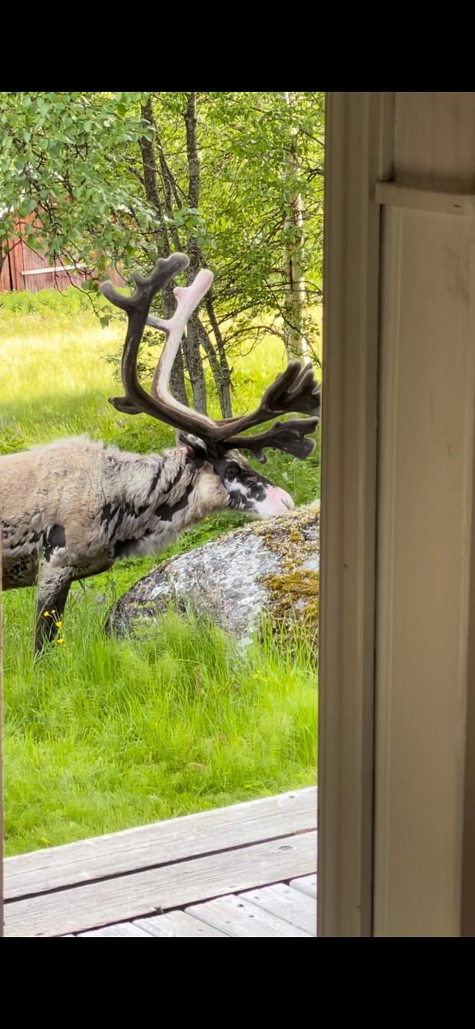 Taenndalens Stugby Tänndalen Exterior foto